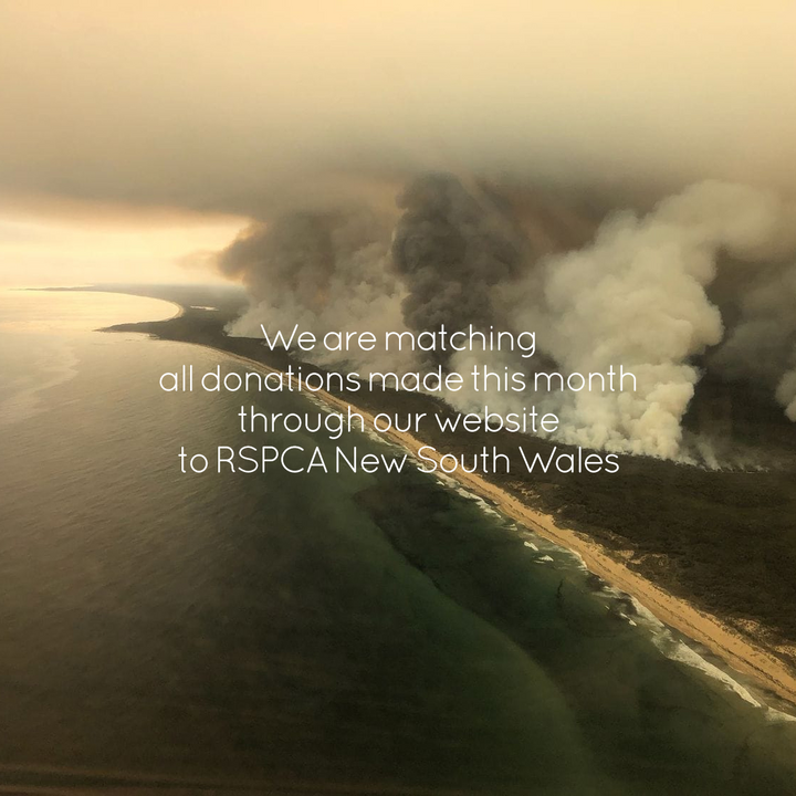 Supporting animals affected by Australian wildfires
