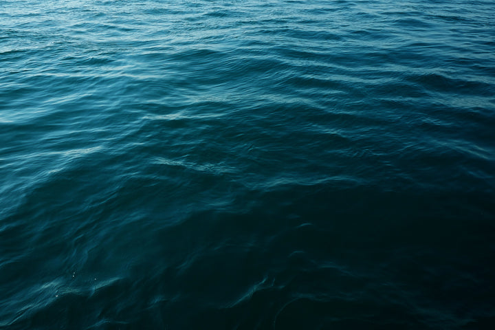 Is Krill Oil better than Fish Oil?